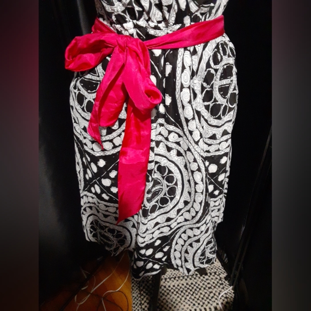 Anthropologie We Love Vera Elegant Black and White Dress with Pink Accent Size 6 - Picture 3 of 7